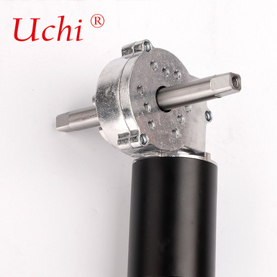 Wandelmachine borstel DC Worm Gear Reducer Motor