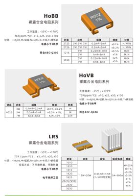 Bare Alloy Resistor, ook bekend als Bare Pure Alloy Current-Sensing