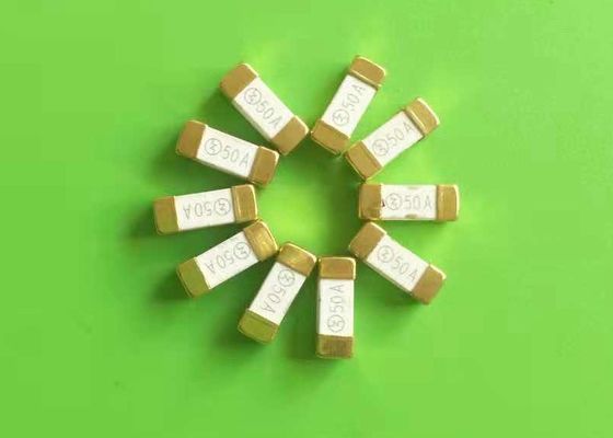 Snelwerkende hoogstroomsluiting 50A 12x4,5 mm